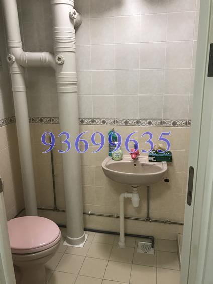 Blk 110D Punggol Field (Punggol), HDB 5 Rooms #153229012